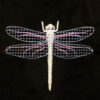 dragonfly machine embroidery design