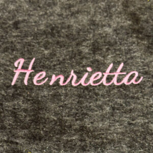 Henrietta Script Embroidery Font